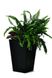 Горшок для растений Keter Rattan Planter M, (medium) 55,4 л 7290103659271 фото 2