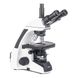 Мікроскоп SIGETA BIOGENIC 40x-2000x LED Trino Infinity 65260 фото 3