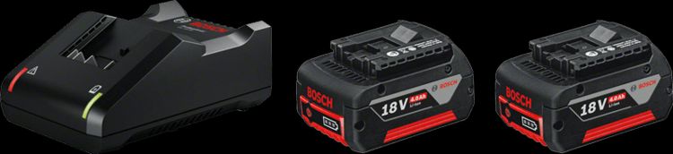 Акумулятор Bosch Professional Li-Ion 2x GBA 18 В 4.0 А·год + ЗП GAL 18V-40 1600A019S0 1600A019S0 фото