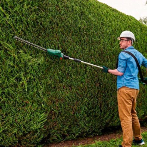 Акумуляторний кущоріз Bosch UniversalHedgePole 18 (06008B3000) 06008B3000 фото