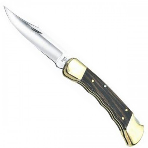 Складаний ніж Buck Folding Hunter (110BRSFGB)