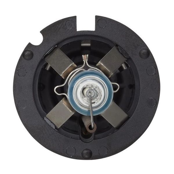 Лампа ксенонова MLux QUARTZ - Original D2S, 35 Вт, 4300&deg;К (1 шт.) 109111281 109111281 фото