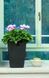 Горщик для рослин Keter Rattan Planter S (small) 23,6 л 7290103659257 фото 2