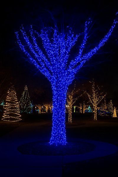 Гірлянда Різдвяна фея вулична 100 м 1000 LED білий провід Синій CF1000L100MWBL Garlando CF1000L100MWBL CF1000L100MWBL фото