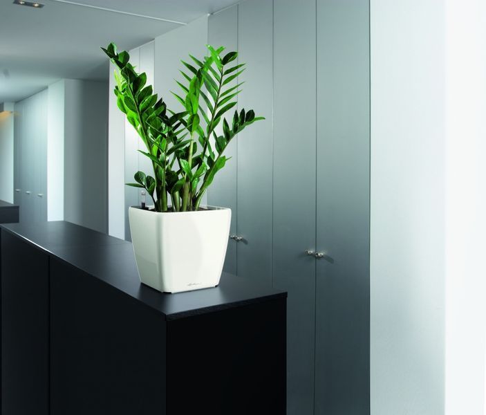Вазон Lechuza Quadro Premium LS 28, білий 16140 фото