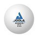 М'ячі для настільного тенісу Joola Advanced Training 40+ 24 шт (44207) 930811 фото 1