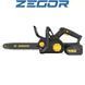 Пила ланцюгова акумуляторна Zegor CSPB-21BL-16W PROFESSIONAL 2 акумулятори 4330 4330 фото 1