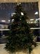 Ялина 2,30 м Abies Nordmann de Luxe зелена 8711473890211 фото 3