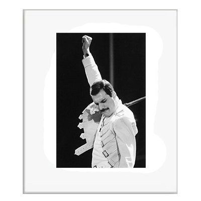 Картина Freddy Mercury, 31 х 26 см SE301W4532* фото