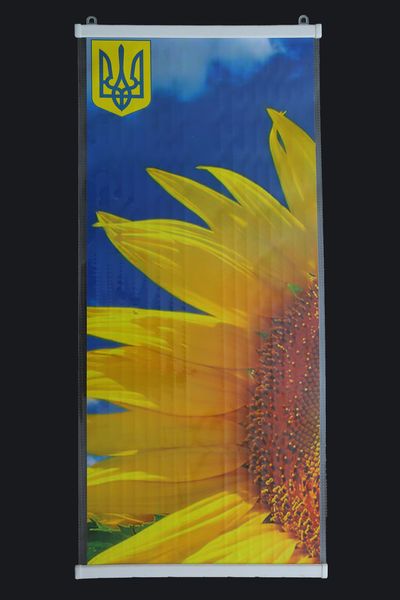 Економний настінний плівковий інфрачервоний нагрівач "Картина. Соняшник", 200 Вт. Seim3 фото