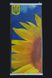 Економний настінний плівковий інфрачервоний нагрівач "Картина. Соняшник", 200 Вт. Seim3 фото 4