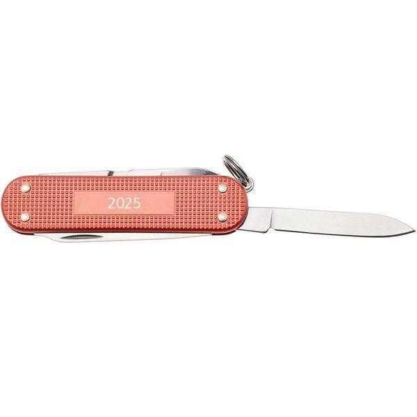 Складаний ніж Victorinox Classic SD Stone Red 0.6221.L25 0.6221.L25 фото