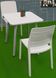 Стул пластиковый Evolutif Charlotte Deco Chair, белый 3076540146581 фото 3