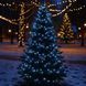 Гірлянда Нитка вулична 30 (м) 300 LED чорний провід Білий CF300L30MBW Garlando CF300L30MBW CF300L30MBW фото 1