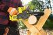 Пила ланцюгова акумуляторна Ryobi ONE+ RY18CS20A-125 18В акб 1х2.5А&middot;год ЗП 20см 2.3кг 5133005415 5133005415 фото 8