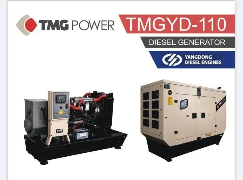 Дизельний генератор TMG POWER TMGR-110 TMG TMGP-110 фото