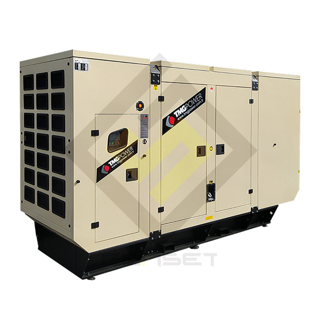 Генератор дизельний TMG Power TMGB-220 (160 кВт)