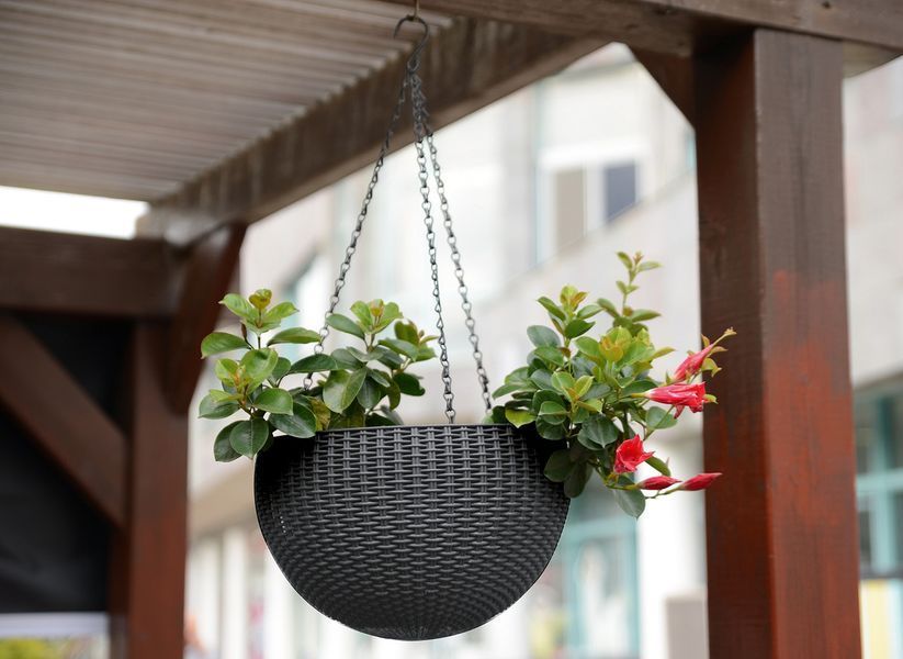 Горщик для рослин Keter Rattan hanging sphere з ланцюжками підвісний, антрацит, 8,6 л 7290106924499 фото