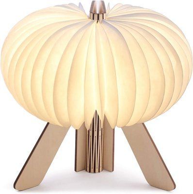 Настільна лампа на акумуляторі Gingko - R Space Lamp G002МЕ фото