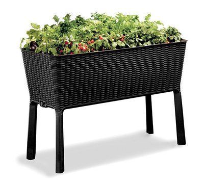 Грядка для рослин Keter Easy Grow, сіра 7290103660833 фото