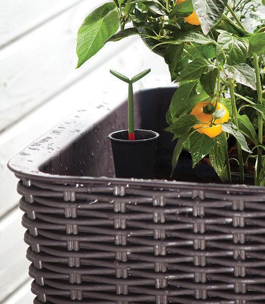Грядка для рослин Keter Easy Grow, сіра 7290103660833 фото