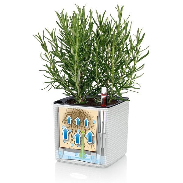 Комплект Lechuza Green Wall Home Kit Color, 48х6х14 см, Білий 13398 фото