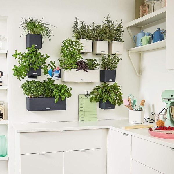 Комплект Lechuza Green Wall Home Kit Color, 48х6х14 см, Білий 13398 фото