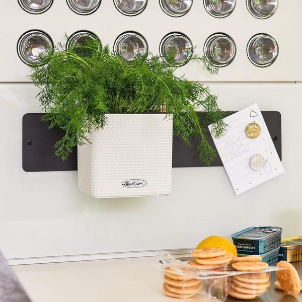 Комплект Lechuza Green Wall Home Kit Color, 48х6х14 см, Білий 13398 фото