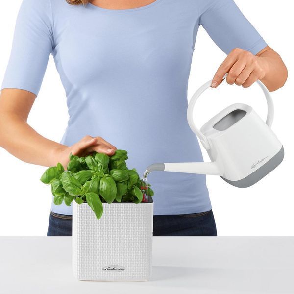 Комплект Lechuza Green Wall Home Kit Color, 48х6х14 см, Білий 13398 фото