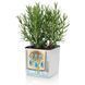 Комплект Lechuza Green Wall Home Kit Color, 48х6х14 см, Білий 13398 фото 4