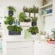 Комплект Lechuza Green Wall Home Kit Color, 48х6х14 см, Білий 13398 фото 6