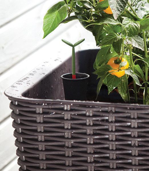 Грядка для рослин Keter Easy Grow, коричнева 7290005559822 фото