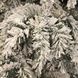 Сосна 0,45 м. Dinsmore Frosted зеленая со снегом 8718861289060 фото 2