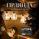 Гірлянда штора з фігурками Повітряна куля 3 метри 6 ламп тепле жовте світло 6L3MBAL Garlando 6L3MBAL 6L3MBAL фото 1
