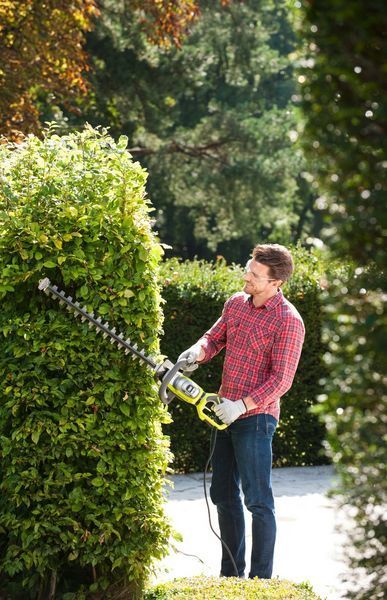 Кущоріз мережевий Ryobi RHT8165RL 800Вт 65см крок різу 34мм 4кг ЗамовитиКодТНЗЕД 5133003649 5133003649 фото