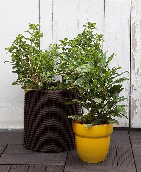 Горщик для квітів Keter 39 л. Cylinder Planter Large, коричневий 7290103664206 фото