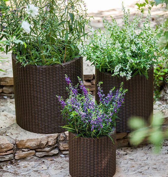 Горщик для квітів Keter 39 л. Cylinder Planter Large, коричневий 7290103664206 фото
