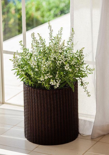 Горщик для квітів Keter 18 л. Cylinder Planter Medium, коричневий 7290103664190 фото