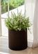 Горщик для квітів Keter 18 л. Cylinder Planter Medium, коричневий 7290103664190 фото 2
