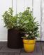 Горщик для квітів Keter 18 л. Cylinder Planter Medium, коричневий 7290103664190 фото 3