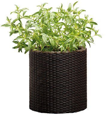 Горщик для квітів Keter 7 л. Cylinder Planter Small, коричневий 7290103664183 фото