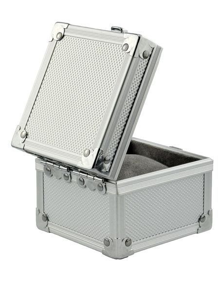Скринька для зберігання годинника ROTHENSCHILD 1W-LH-SGF 1W-LH-SGF фото