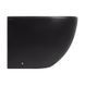 Біде підлогове Qtap Robin 565x360x405 Matt black QT13442141CMB SD00043834 фото 4