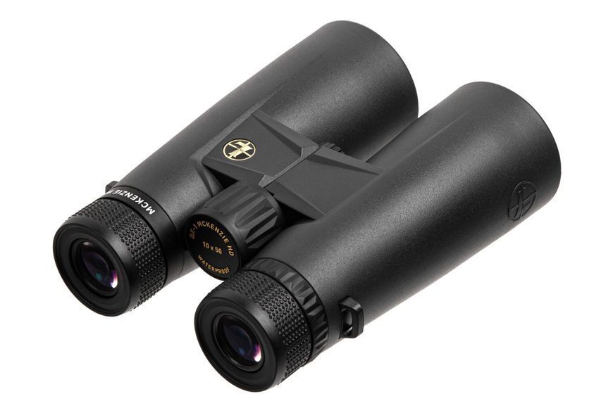 Бінокль Leupold BX-1 McKenzie HD 10x50mm темно-сірий 181174 фото