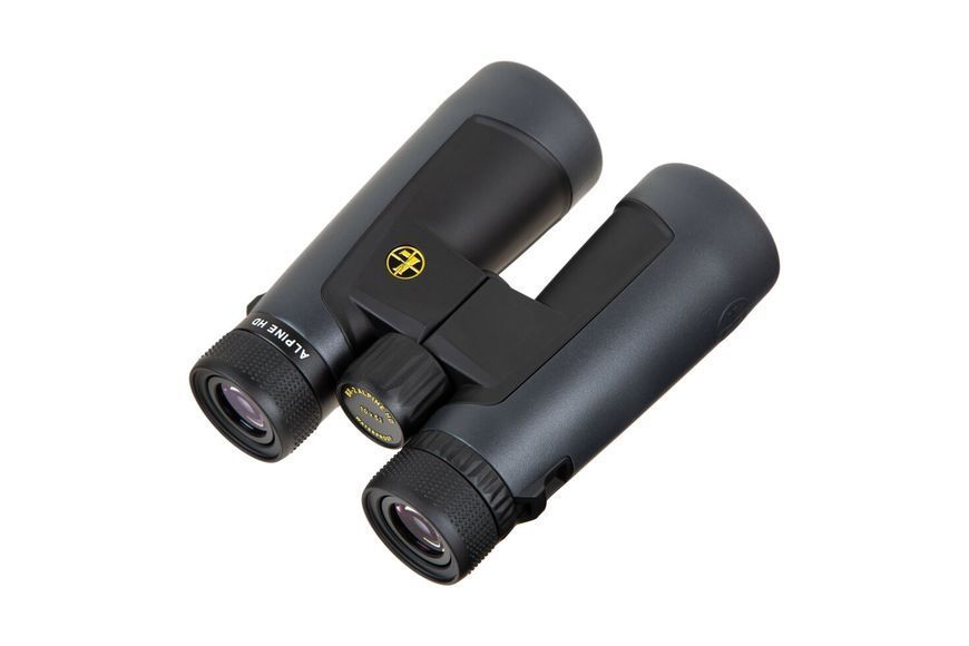 Бінокль LEUPOLD BX-2 Alpine 10x52mm Roof темно-сірий 181178 фото