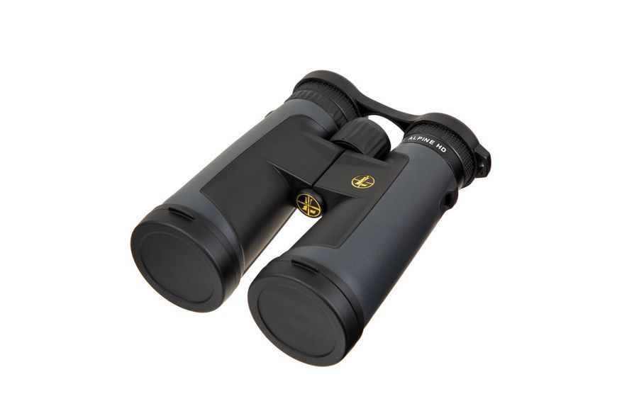 Бінокль LEUPOLD BX-2 Alpine 10x52mm Roof темно-сірий 181178 фото