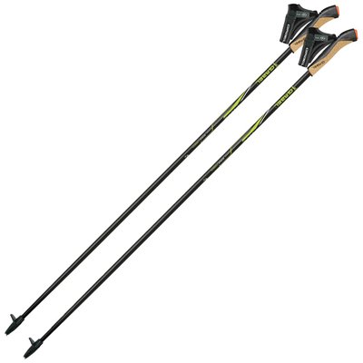 Палки для скандинавской ходьбы Gabel FX-75 Snake Carbon 125 Dual Spike (7009351011250) DAS302750 фото