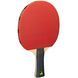 Набір для настільного тенісу Joola Quattro 4 Bats 10 Balls (54818) 930795 фото 2